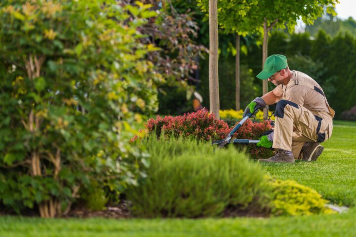 Garden & Grounds Maintenance Services Edinburgh | UK Commercial Group